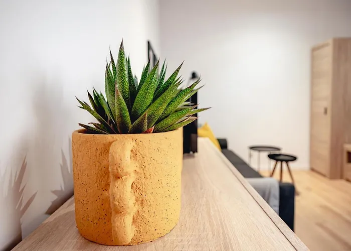 Pamiatkowa 11, 2 Rooms, Self Check In 24h Apartment